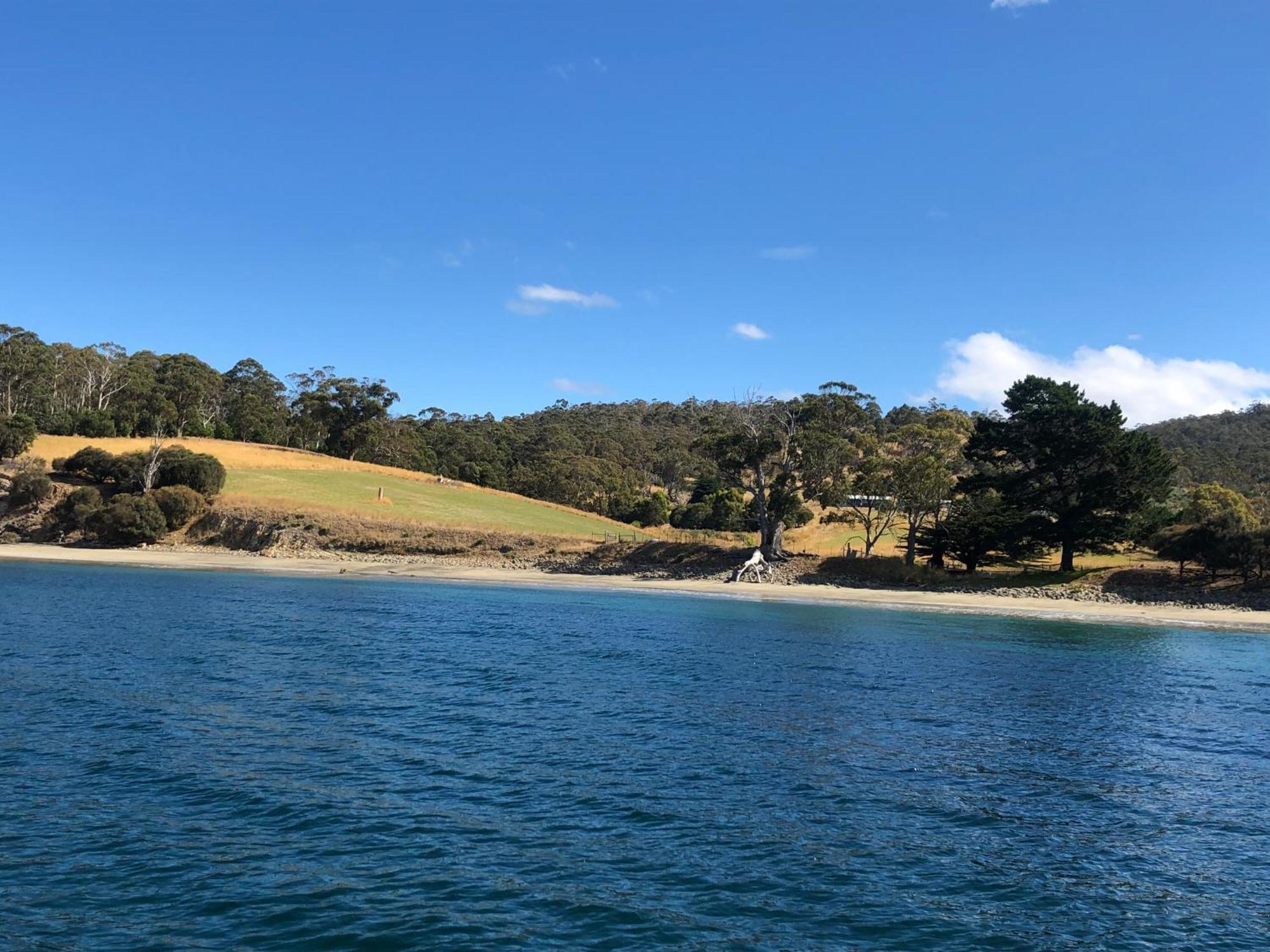 The Woolshed And Farmhouse Blue, Bruny Island Barnes Bay Ngoại thất bức ảnh